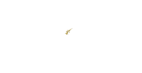 Astutto Logo